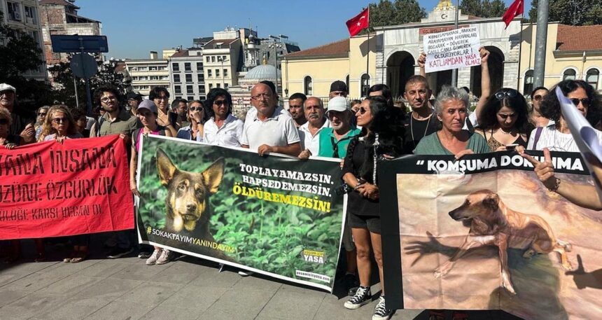 Hayvan Hakları Savunucularından Valilik önünde protesto