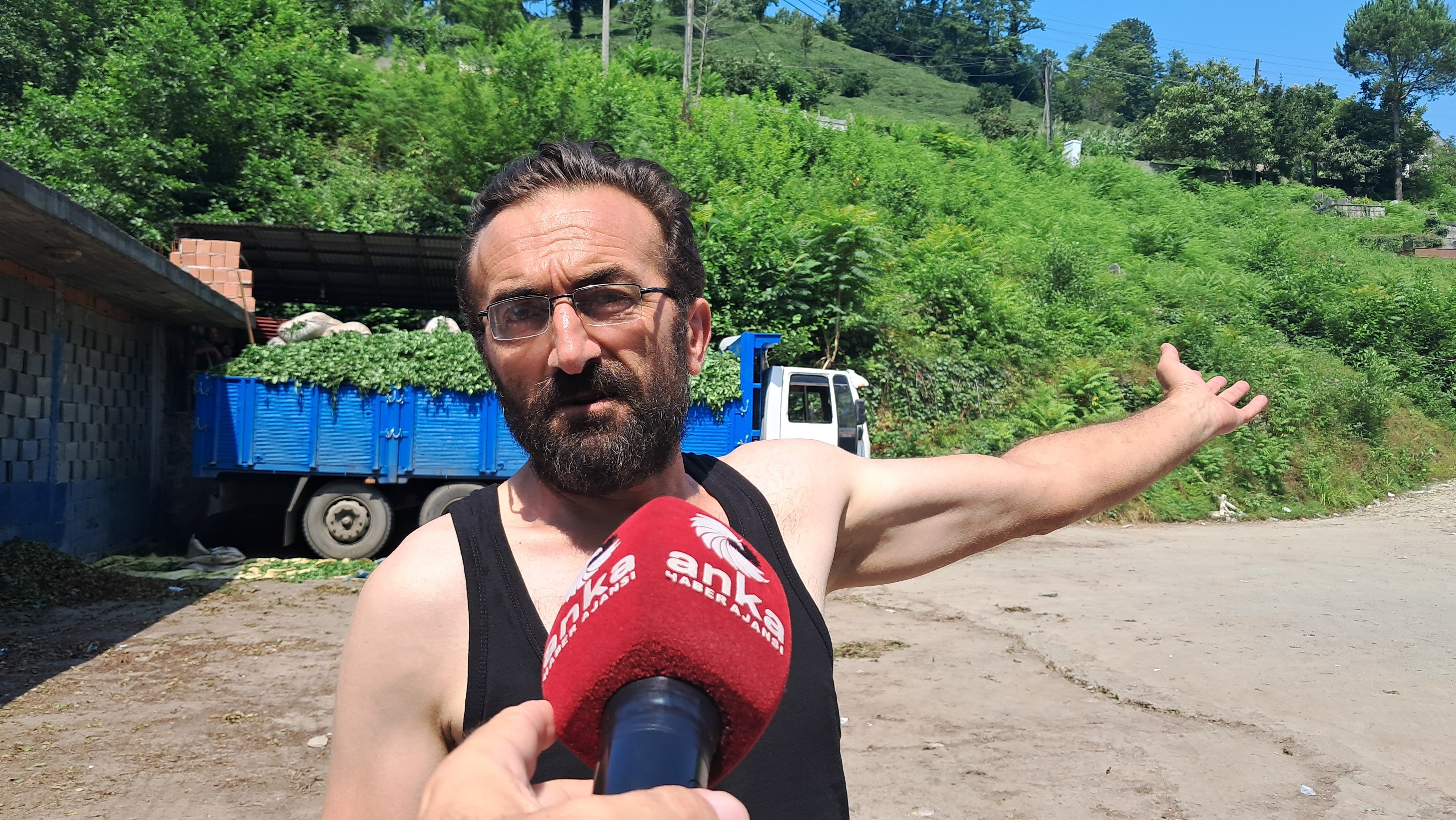 Hopalı çay üreticileri dertli: “Çay Topluyoruz ama Kazanmıyoruz”