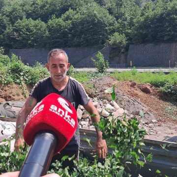 Hopalı çay üreticileri dertli: “Çay Topluyoruz ama Kazanmıyoruz”