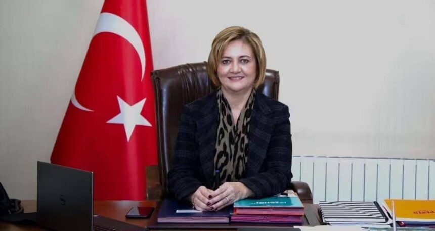 İpek Elif Atayman’dan AYM’ye başvuru