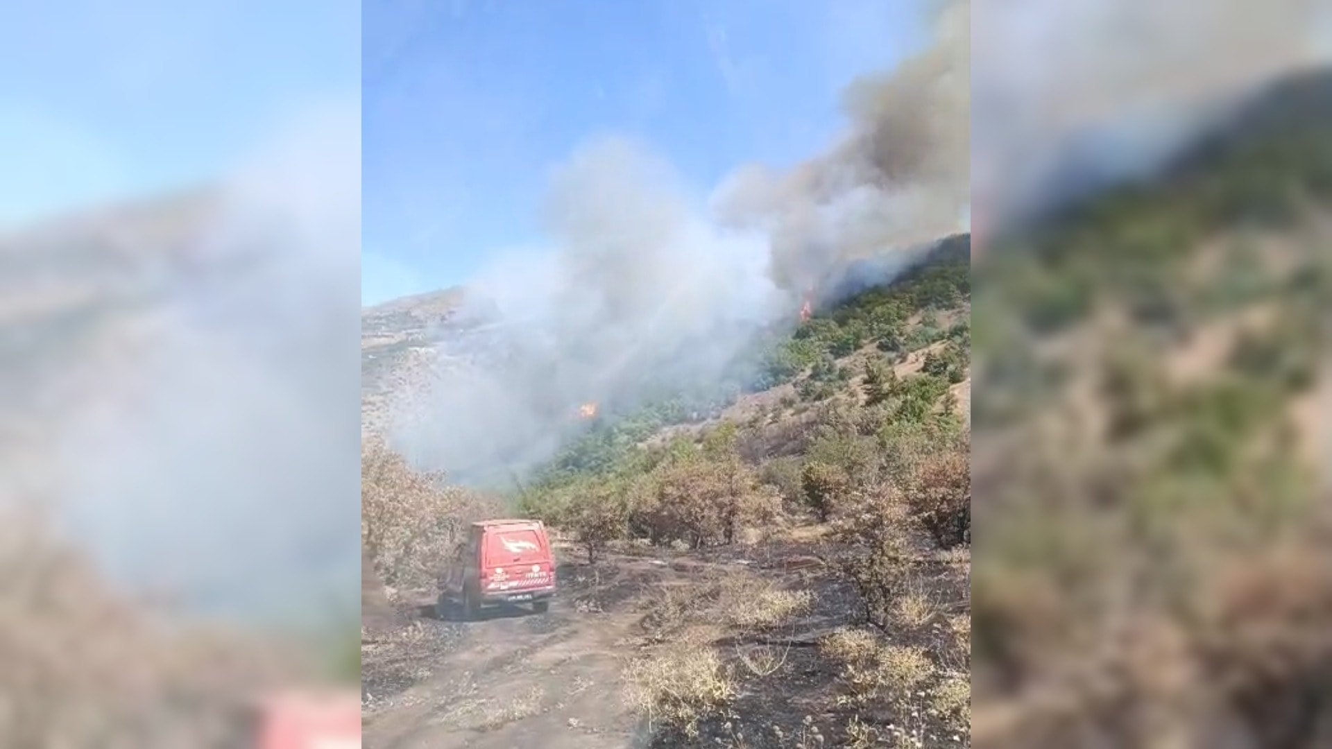 İzmir ve Çanakkale'de orman yangınlarıyla mücadele sürüyor