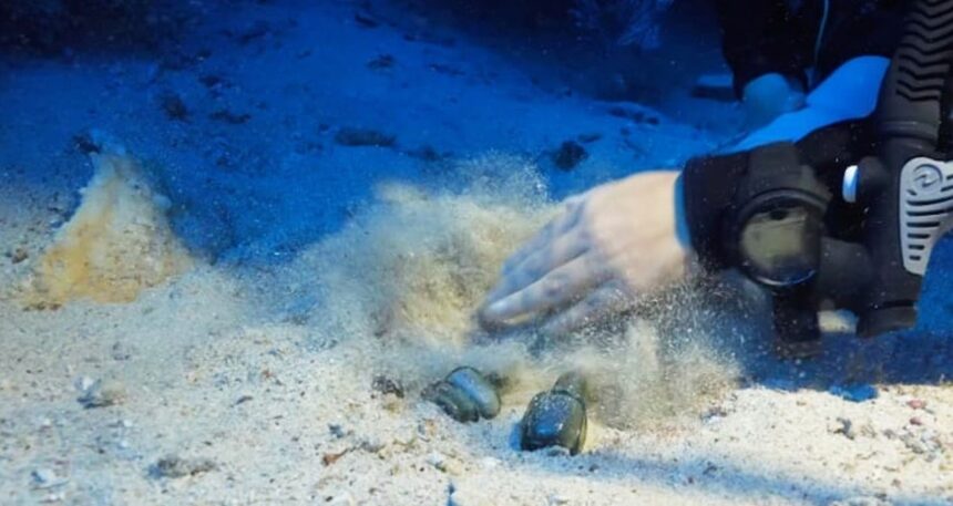 Kaş açıklarındaki batıkta 1100 yıllık cam koku şişeleri bulundu