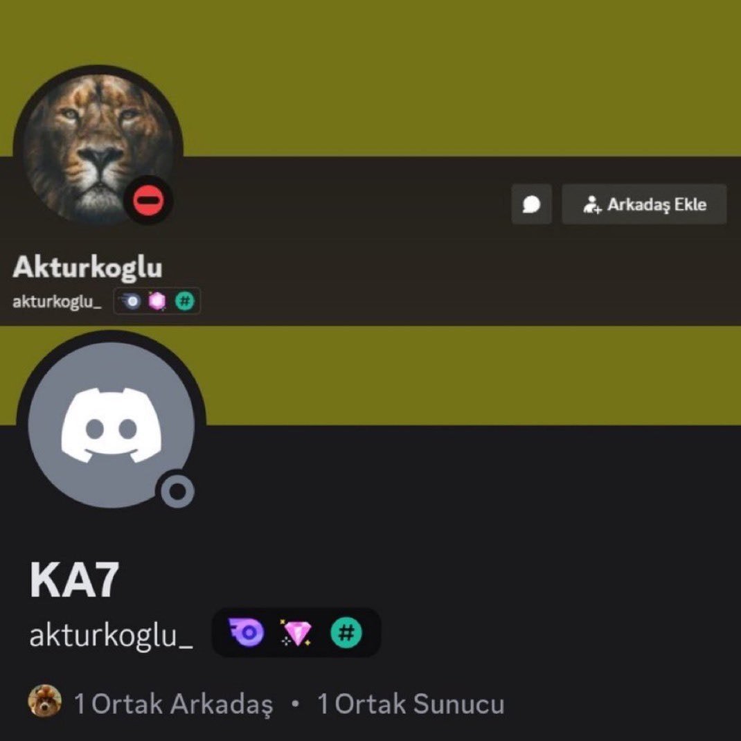 Kerem Aktürkoğlu 'Aslan'ı sildi