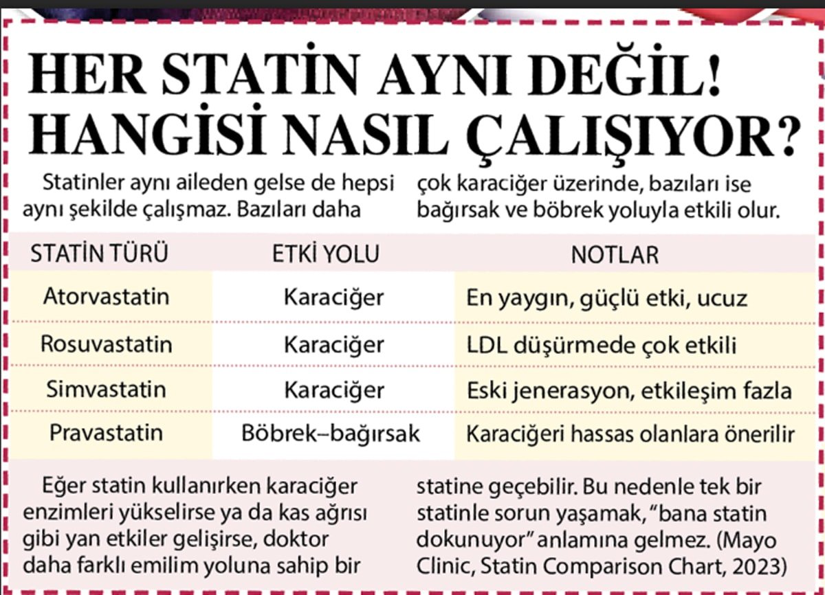 Kolesterol: Düşman mı, denge mi? 2 Kolesterol: Düşman mı, denge mi?