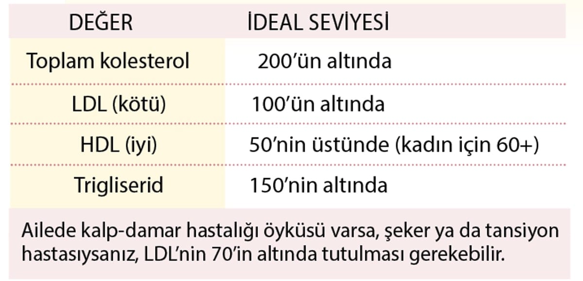 Kolesterol: Düşman mı, denge mi? 4 Kolesterol: Düşman mı, denge mi?