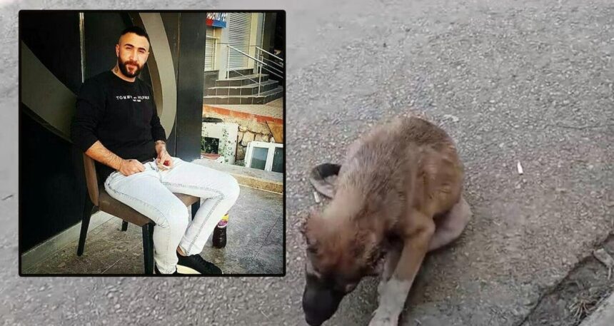 Köpeğe işkence eden şahıs tutuklandı