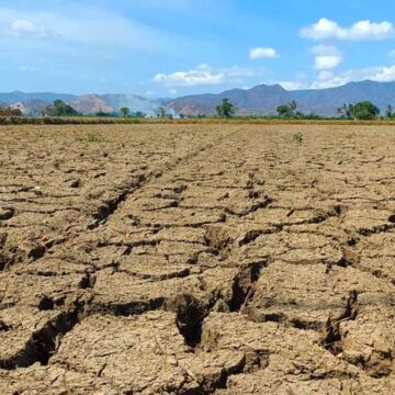 kurakliga-karsi-beklenmedik-tavsiye-e-postalarinizi-silin-B3JUeC4I.jpg Kuraklığa karşı beklenmedik tavsiye: e postalarınızı silin…