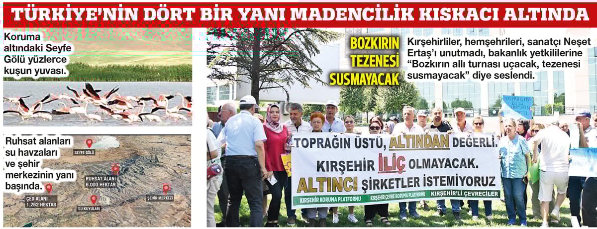 Kuş cennetini maden için yok edecekler
