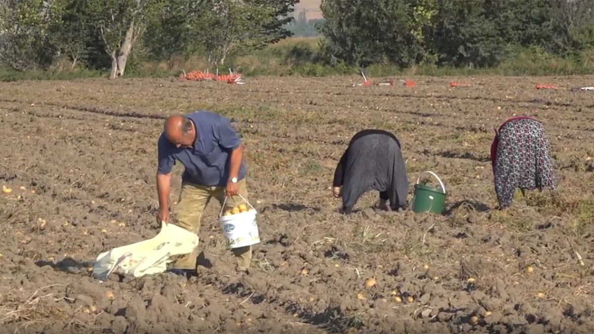Marketlerin verdiği fiyat isyan ettirdi, halka bedava dağıttı