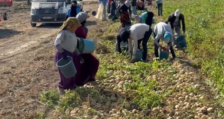 Marketlerin verdiği fiyat isyan ettirdi, halka bedava dağıttı