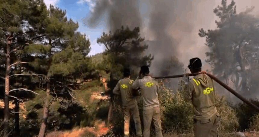 Mersin’deki orman yangını 2. gününde sürüyor