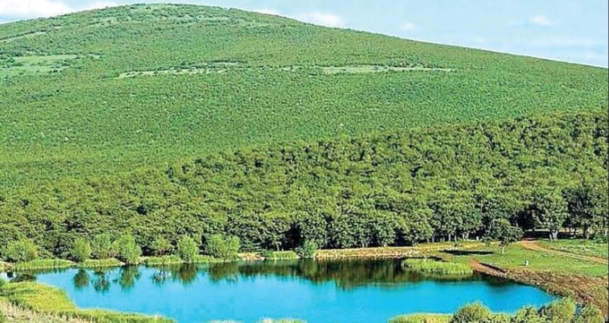 Meşe ormanlarına maden ocağı ruhsatı