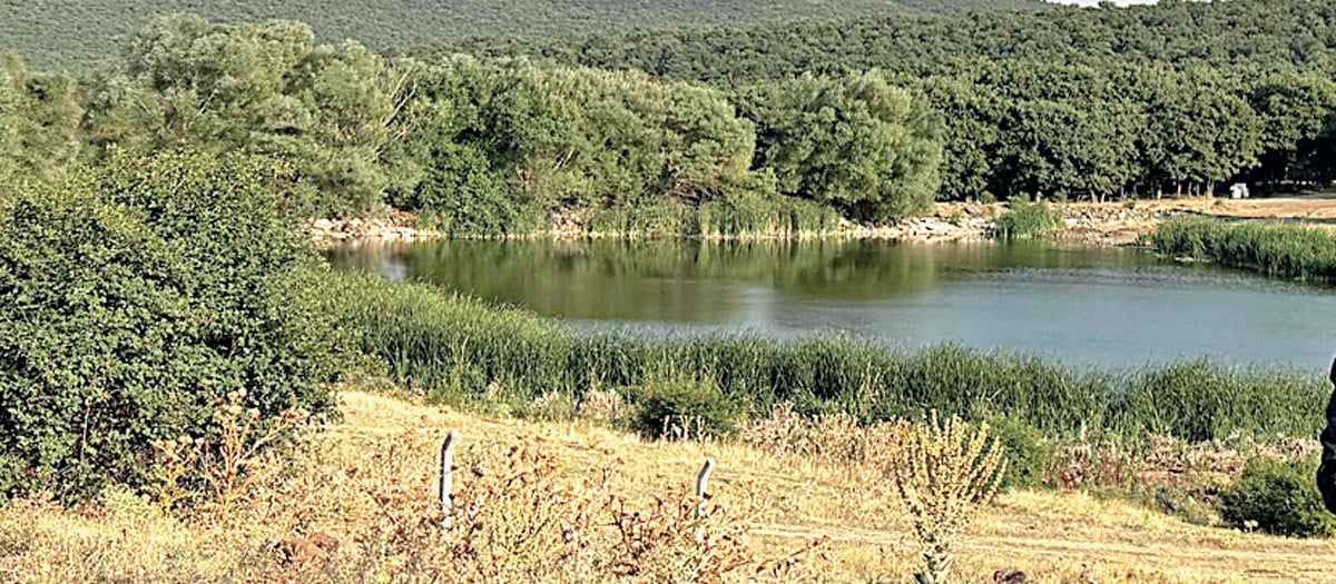 Mezarlıkta dahi altın arayacaklar