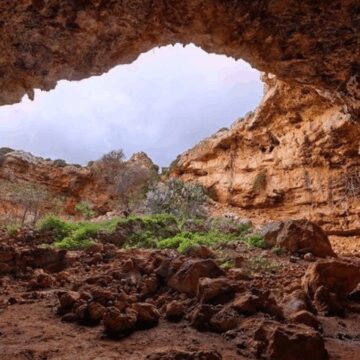 O dili öğrenemedikleri için yok oldular