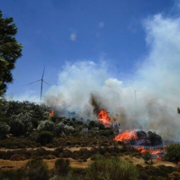 ogm-tel-tel-dokuluyor-Hh6eNM6f.jpg OGM tel tel dökülüyor