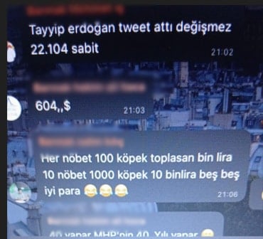 Osmaniye Barınağı'nda skandal bitmiyor: Doğmamış köpekler üzerinden bile para almışlar!