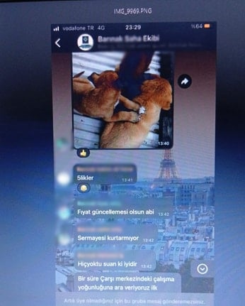 Osmaniye Barınağı'nda skandal bitmiyor: Doğmamış köpekler üzerinden bile para almışlar!