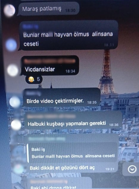 Osmaniye Barınağı'nda skandal bitmiyor: Doğmamış köpekler üzerinden bile para almışlar!