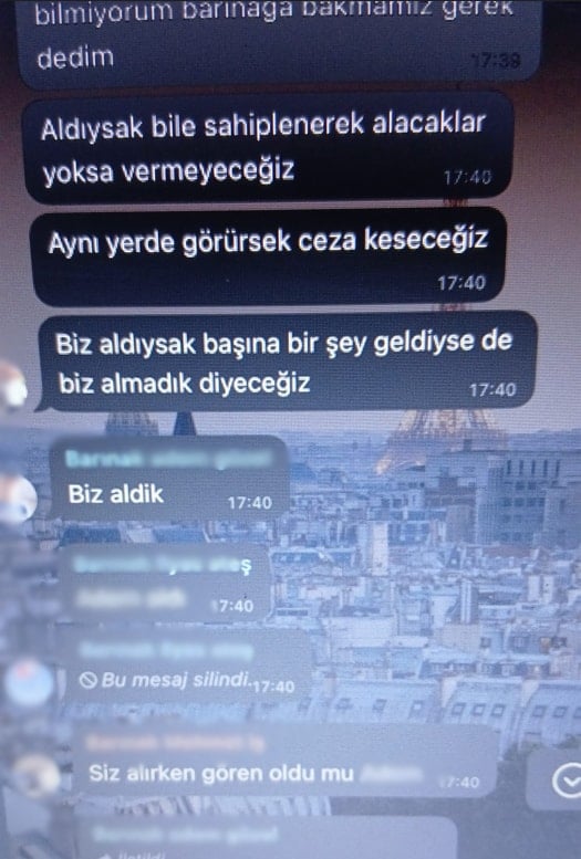 Osmaniye Barınağı'nda skandal bitmiyor: Doğmamış köpekler üzerinden bile para almışlar!