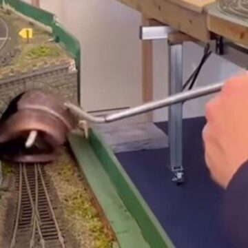 Oyuncak trenden zehirli yılan çıktı