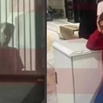 Özgür Çelik: Suç makinaları sokakta rahatça gezerken, Mehmet Murat Çalık’a yapılanın izahı yok
