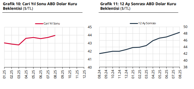 Piyasanın sene sonu dolar/TL beklentisi yükseldi