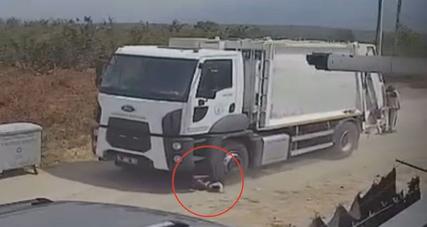Sakarya’da kan donduran görüntü: Ezerek öldürdükleri köpekleri çöp kamyonuna atıp götürdüler