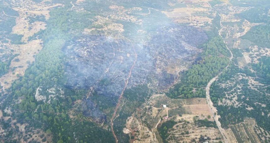 Seydikemer’deki orman yangını kontrol altına alındı