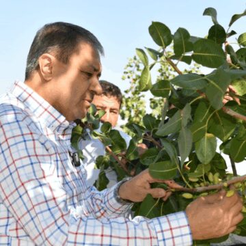sezonun-ilk-hasadi-basladi-vali-de-hasada-dahil-oldu-miLfOIiH.jpg Sezonun ilk hasadı başladı: Vali de hasada dahil oldu