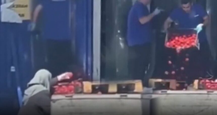 Sosyal medyayı ikiye bölen görüntü! Market domatesleri çöpe dökerken, yaşlı kadın topladı