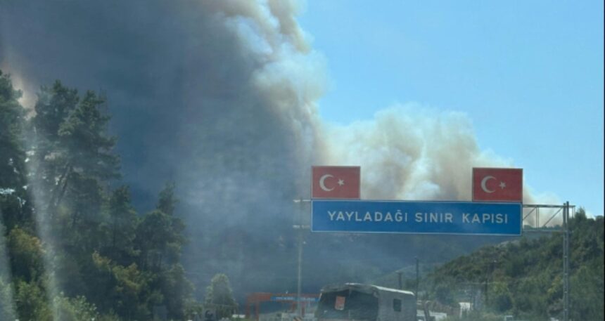 Suriye’de sınıra yakın bölgede orman yangını