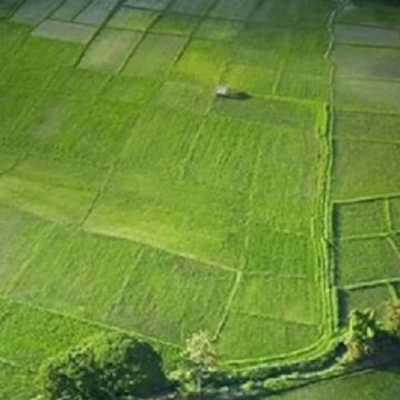 tokiden-36-ilde-arsa-satisi-detaylar-belli-oldu-VIYT8p3A.jpg TOKİ’den 36 ilde arsa satışı: Detaylar belli oldu