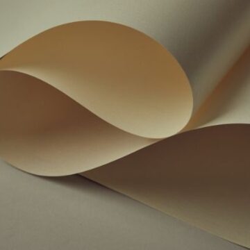 Türkiye’nin genç kağıt firması mali darboğaza girdi