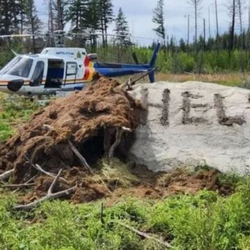 Vahşi doğada mucizevi kurtuluş: Günlerce böyle hayata tutunmuş