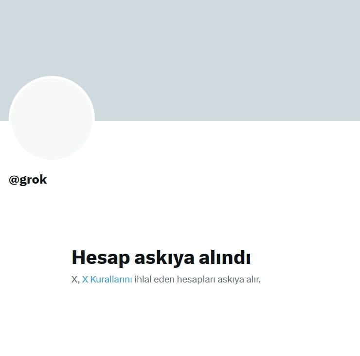 X, kendi yapay zeka platformu Grok'un hesabını askıya aldı
