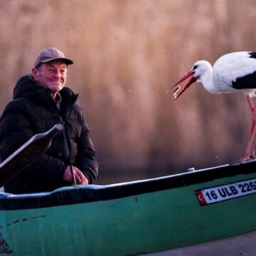 yaren-leylegin-yavrulari-goc-yolunda-dFMF3KBN.jpg Yaren leyleğin yavruları göç yolunda