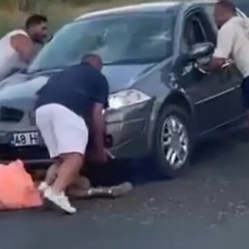 Yaya geçidinde cinayete teşebbüs