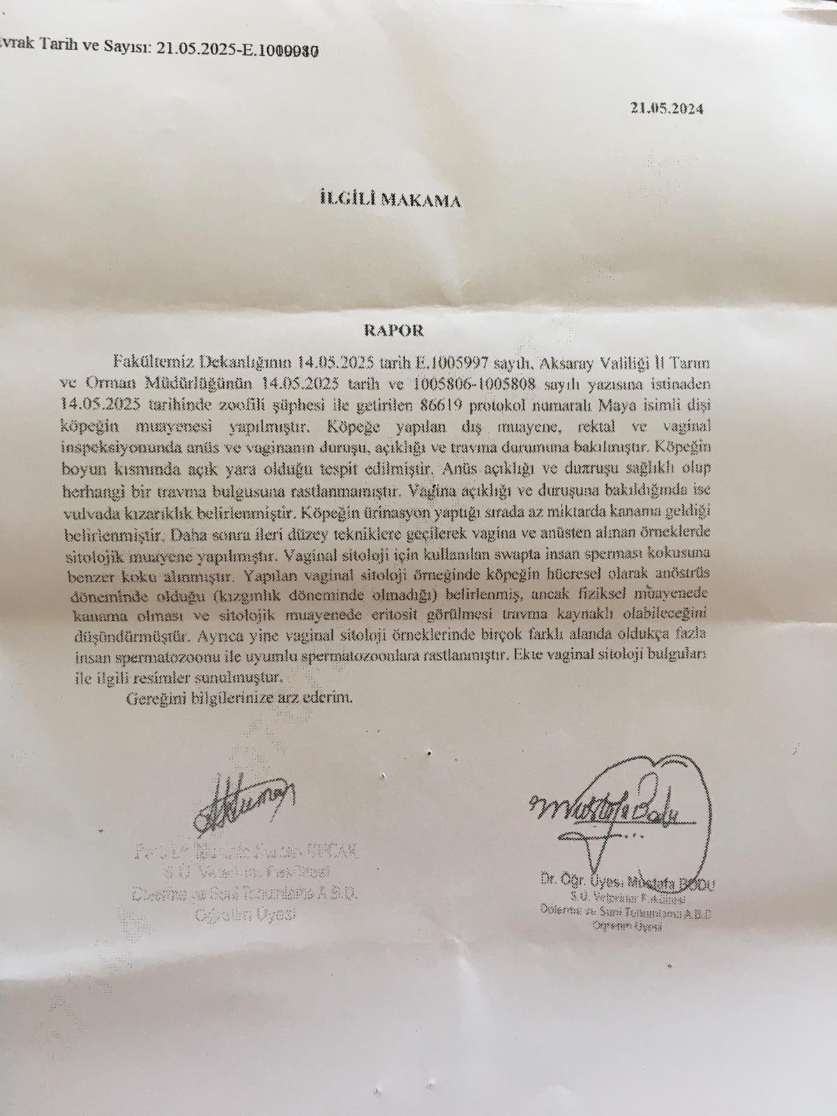 Yer: Aksaray... Köpeğe tecavüz skandalı böyle ortaya çıktı