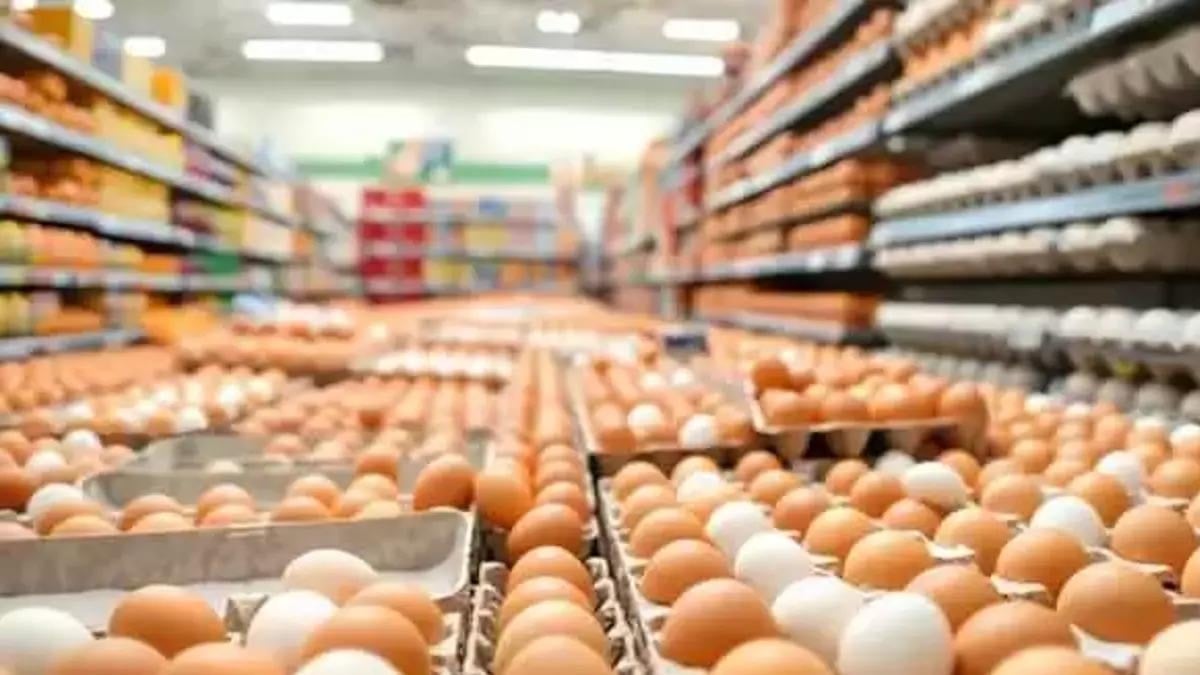 Yumurta satışında yeni dönem başladı, fiyatlar 170 liraya fırladı