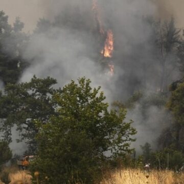 yunanistanda-son-4-gunde-242-orman-yangini-cikti-pujhC7rm.jpg Yunanistan’da son 4 günde 242 orman yangını çıktı
