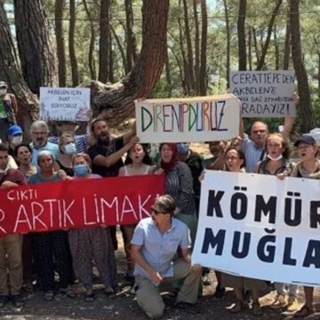 zeytinde-skandal-karar-TAt7jrAw.jpg Zeytinde skandal karar