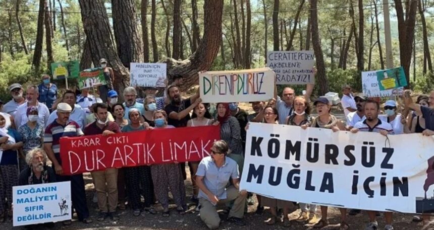 Zeytinde skandal karar