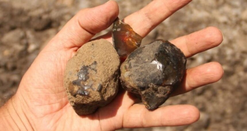 112-milyon-yillik-kehribarda-buyuk-bulus-bir-ilk-oldu-k1I4BpyT.jpg 112 milyon yıllık kehribarda büyük buluş: Bir ilk oldu