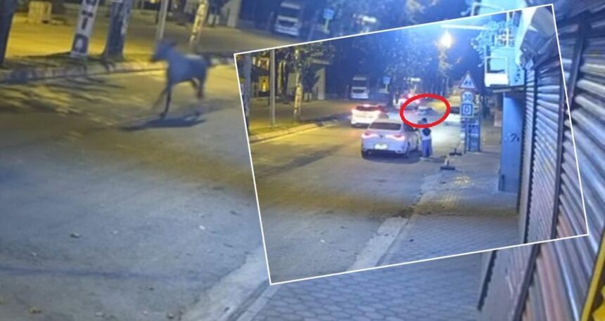Adana’da bir garip kaza: At, karşıdan gelen araca çarptı