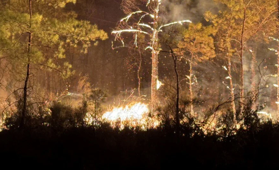 Antalya ve Muğla'daki yangın evlere yaklaştı: Lüks otel boşaltıldı 1 Antalya ve Muğla'daki yangın evlere yaklaştı: Lüks otel boşaltıldı