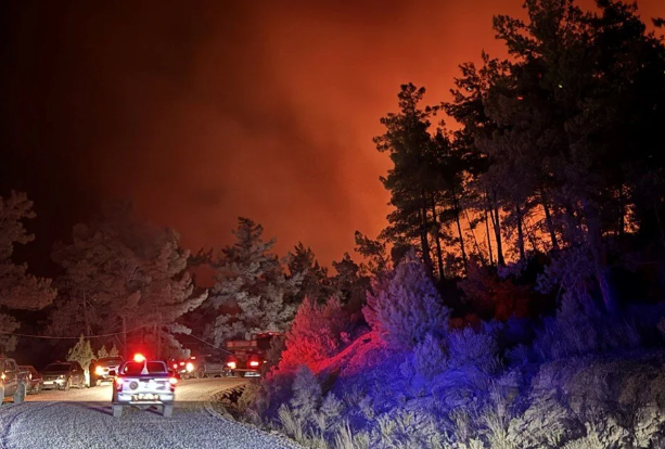 Antalya ve Muğla'daki yangın evlere yaklaştı: Lüks otel boşaltıldı 3 Antalya ve Muğla'daki yangın evlere yaklaştı: Lüks otel boşaltıldı