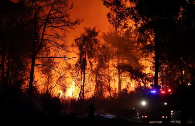 Antalya ve Muğla'daki yangın evlere yaklaştı: Lüks otel boşaltıldı 4 Antalya ve Muğla'daki yangın evlere yaklaştı: Lüks otel boşaltıldı