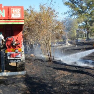 aydinda-yangin-zeytin-agaclarini-zarar-gordu-EZdPU72F.jpg Aydın’da yangın: Zeytin ağaçlarını zarar gördü