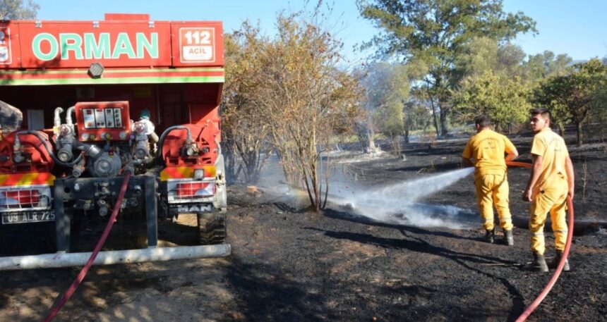 aydinda-yangin-zeytin-agaclarini-zarar-gordu-EZdPU72F.jpg Aydın’da yangın: Zeytin ağaçlarını zarar gördü