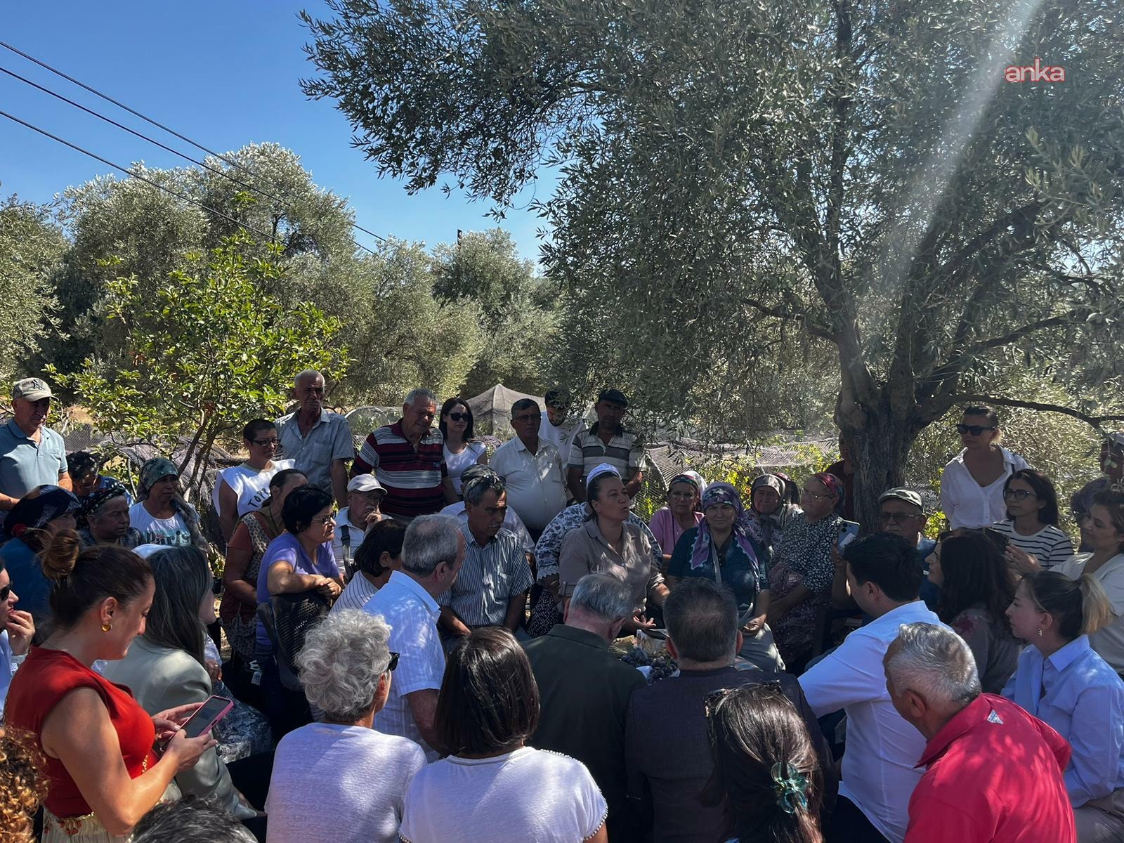 Barolardan Akbelen Direnişine destek: "Zeytinlikler, su kaynakları ve yaşam alanları yok ediliyor" 1 Barolardan Akbelen Direnişine destek: "Zeytinlikler, su kaynakları ve yaşam alanları yok ediliyor"